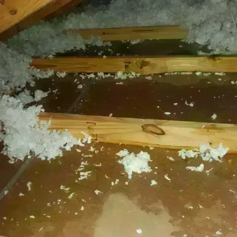 Attic Water Damage in Martin, TN