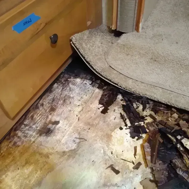 Best Wood Floor Water Damage Service in Martin, TN